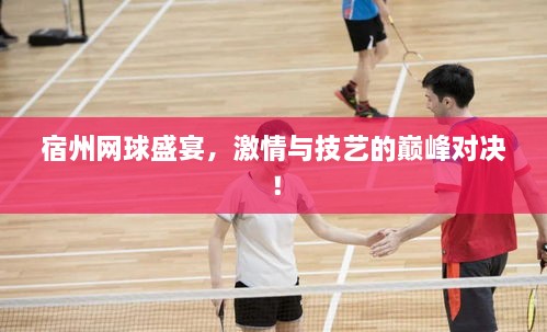 宿州網球盛宴，激情與技藝的巔峰對決！