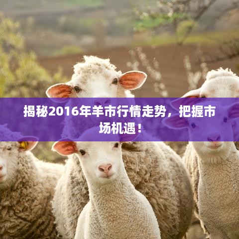 揭秘2016年羊市行情走勢，把握市場機遇！
