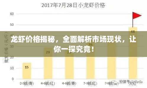 龍蝦價格揭秘，全面解析市場現(xiàn)狀，讓你一探究竟！