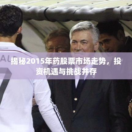 揭秘2015年藥股票市場走勢，投資機遇與挑戰(zhàn)并存