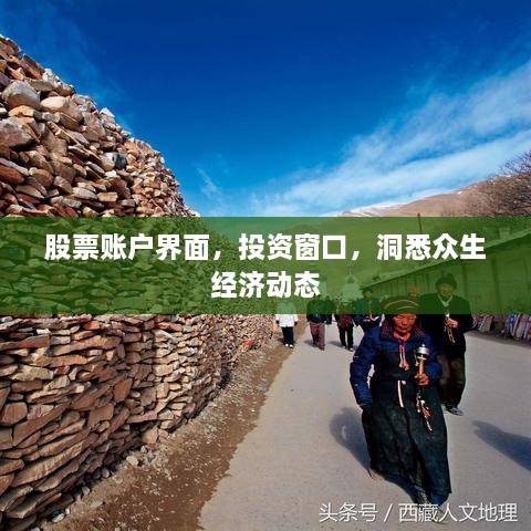 股票賬戶(hù)界面，投資窗口，洞悉眾生經(jīng)濟(jì)動(dòng)態(tài)