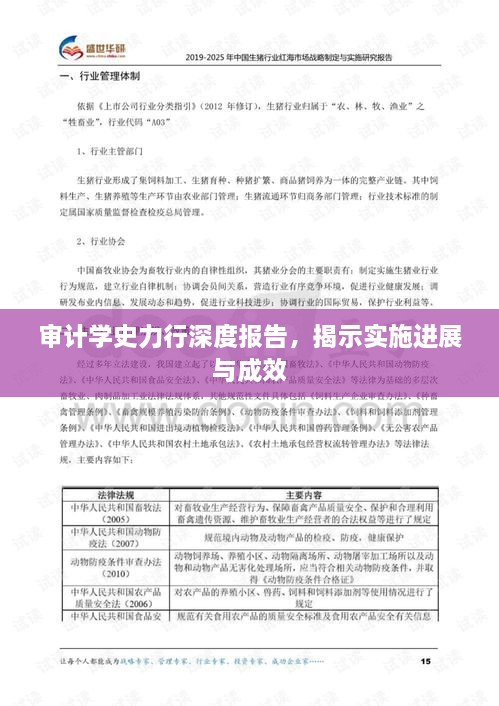 審計學(xué)史力行深度報告，揭示實施進展與成效