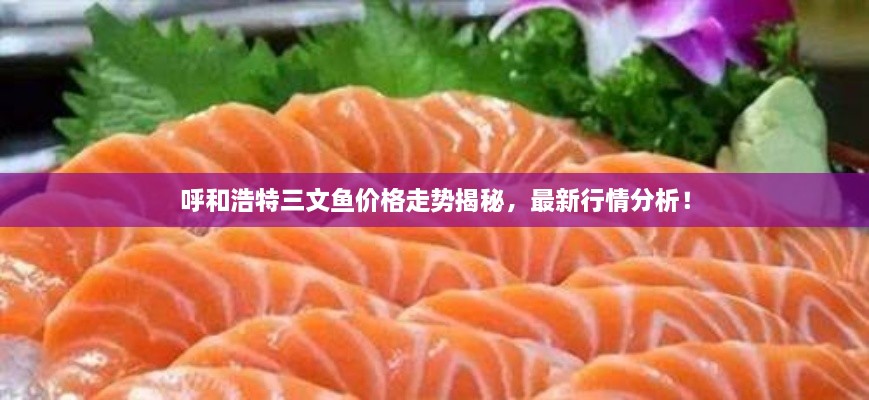 呼和浩特三文魚價格走勢揭秘，最新行情分析！