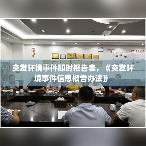 突發(fā)環(huán)境事件即時報(bào)告表，《突發(fā)環(huán)境事件信息報(bào)告辦法》 