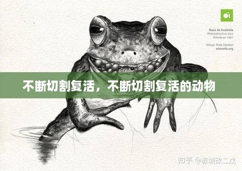 不斷切割復(fù)活，不斷切割復(fù)活的動物 