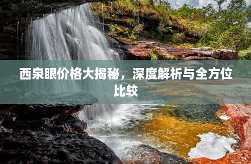 西泉眼價格大揭秘，深度解析與全方位比較