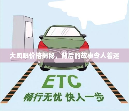 大鳳眼價(jià)格揭秘，背后的故事令人著迷