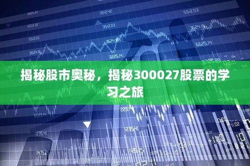 揭秘股市奧秘，揭秘300027股票的學(xué)習(xí)之旅