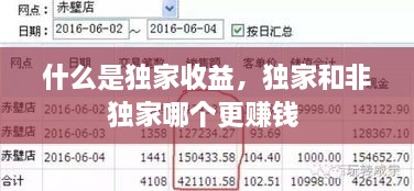 什么是獨(dú)家收益，獨(dú)家和非獨(dú)家哪個(gè)更賺錢(qián) 