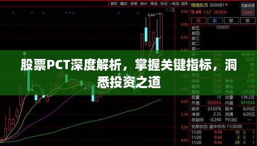 股票PCT深度解析，掌握關(guān)鍵指標，洞悉投資之道