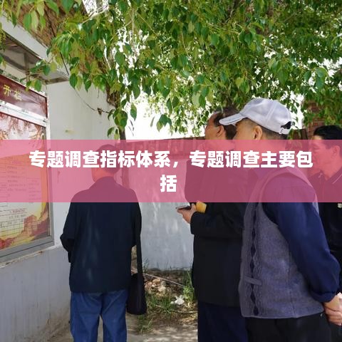 專題調(diào)查指標體系，專題調(diào)查主要包括 