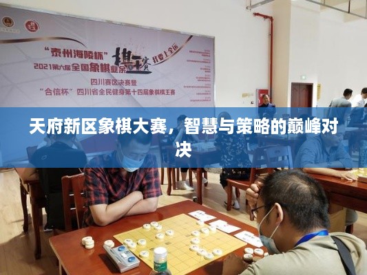 天府新區(qū)象棋大賽，智慧與策略的巔峰對決