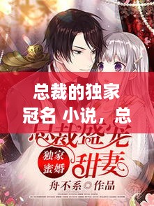 總裁的獨家冠名 小說，總裁的獨家盛寵全文免費閱讀 