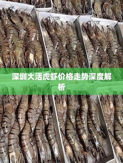 深圳大活虎蝦價格走勢深度解析