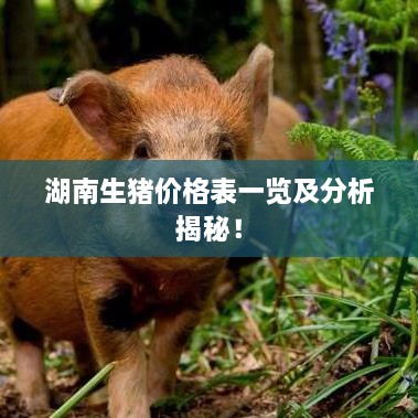 湖南生豬價格表一覽及分析揭秘！