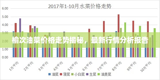 榆次油菜價(jià)格走勢揭秘，最新行情分析報(bào)告