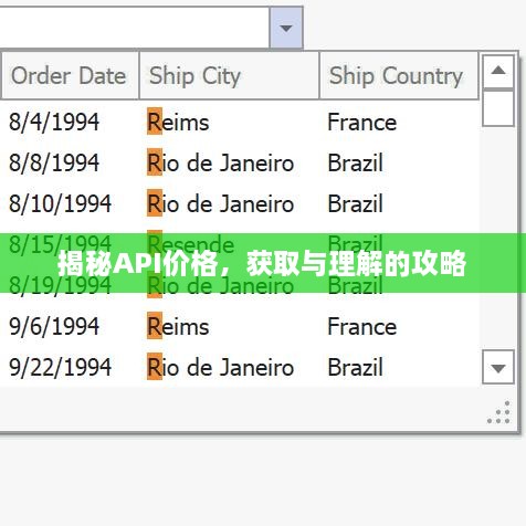 揭秘API價(jià)格，獲取與理解的攻略