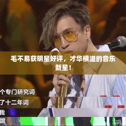毛不易獲明星好評(píng)，才華橫溢的音樂(lè)新星！