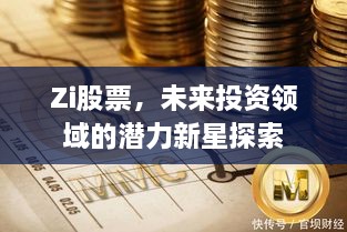 Zi股票，未來(lái)投資領(lǐng)域的潛力新星探索