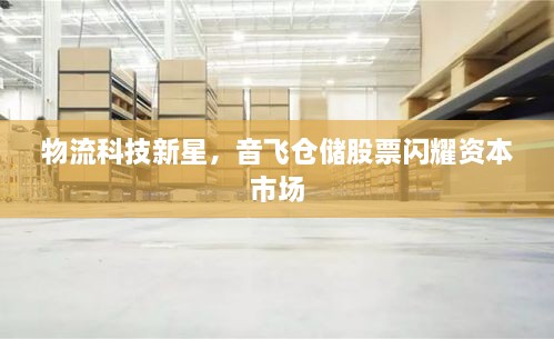 物流科技新星，音飛倉儲股票閃耀資本市場