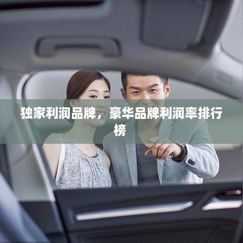 獨家利潤品牌，豪華品牌利潤率排行榜 