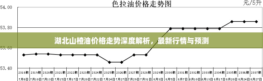 湖北山楂油價格走勢深度解析，最新行情與預(yù)測