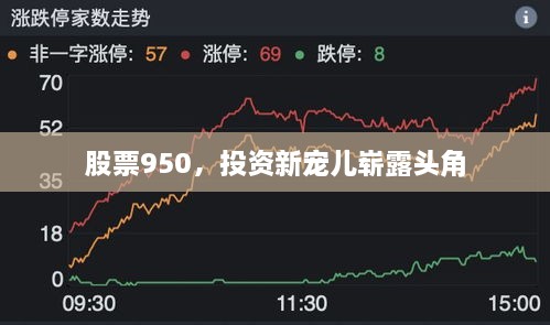 股票950，投資新寵兒嶄露頭角