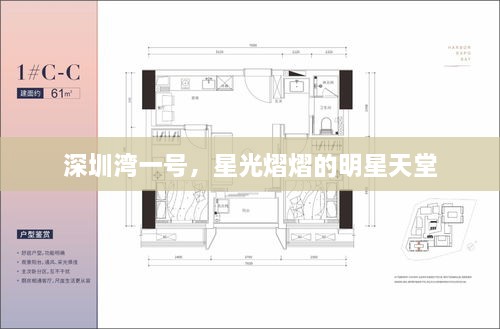 深圳灣一號，星光熠熠的明星天堂