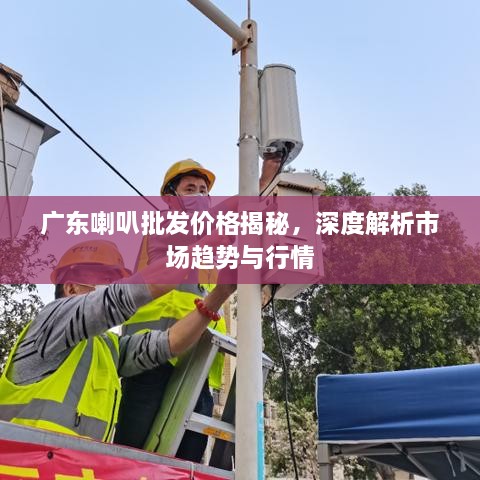 廣東喇叭批發(fā)價格揭秘，深度解析市場趨勢與行情