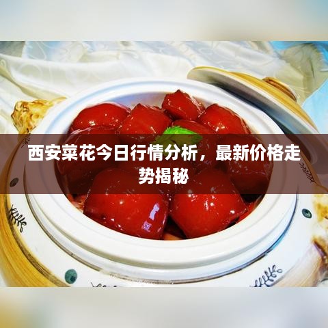 西安菜花今日行情分析，最新價(jià)格走勢揭秘