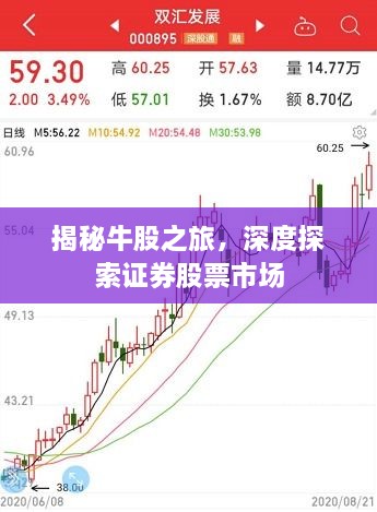 揭秘牛股之旅，深度探索證券股票市場