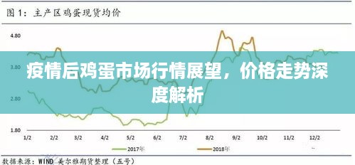 疫情后雞蛋市場行情展望，價(jià)格走勢深度解析