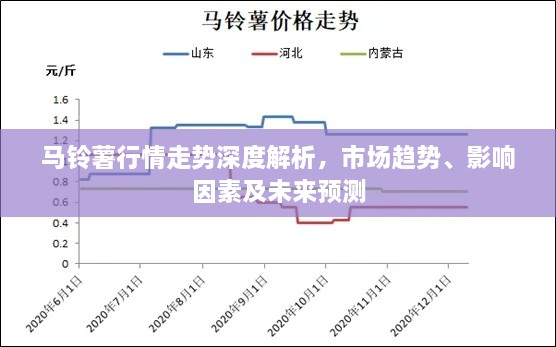 馬鈴薯行情走勢深度解析，市場趨勢、影響因素及未來預測