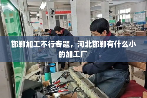 邯鄲加工不行專題，河北邯鄲有什么小的加工廠 