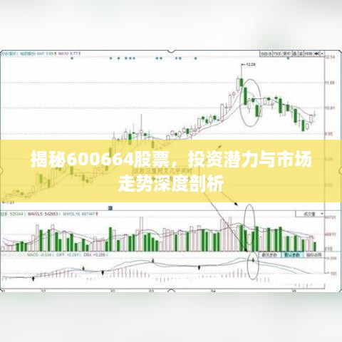 揭秘600664股票，投資潛力與市場(chǎng)走勢(shì)深度剖析