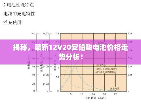 揭秘，最新12V20安鉛酸電池價格走勢分析！