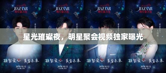星光璀璨夜，明星聚會(huì)視頻獨(dú)家曝光