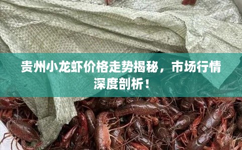 貴州小龍蝦價(jià)格走勢揭秘，市場行情深度剖析！