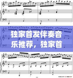 獨家首發(fā)伴奏音樂推薦，獨家首發(fā)伴奏音樂推薦下載 