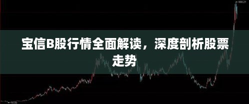 寶信B股行情全面解讀，深度剖析股票走勢(shì)