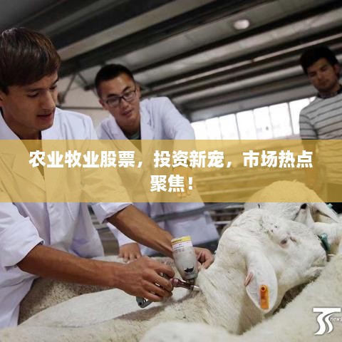 農(nóng)業(yè)牧業(yè)股票，投資新寵，市場熱點聚焦！