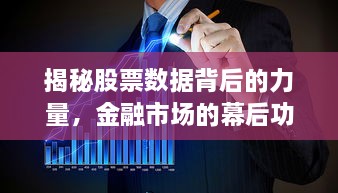 揭秘股票數(shù)據(jù)背后的力量，金融市場(chǎng)的幕后功臣