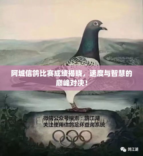 阿城信鴿比賽成績(jī)揭曉，速度與智慧的巔峰對(duì)決！