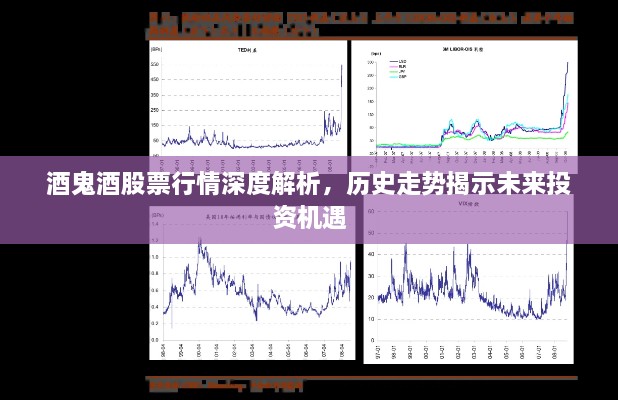 酒鬼酒股票行情深度解析，歷史走勢(shì)揭示未來投資機(jī)遇