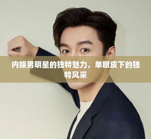 內(nèi)娛男明星的獨特魅力，單眼皮下的獨特風(fēng)采