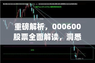 重磅解析，000600股票全面解讀，洞悉投資趨勢！