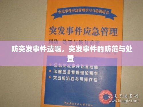 防突發(fā)事件遺囑，突發(fā)事件的防范與處置 