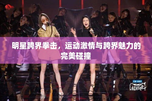 明星跨界拳擊，運(yùn)動激情與跨界魅力的完美碰撞