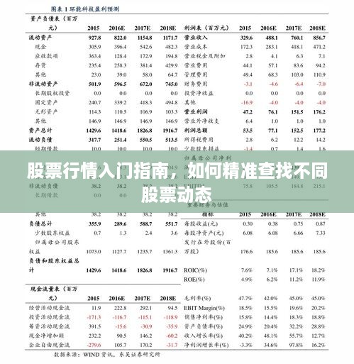 股票行情入門(mén)指南，如何精準(zhǔn)查找不同股票動(dòng)態(tài)