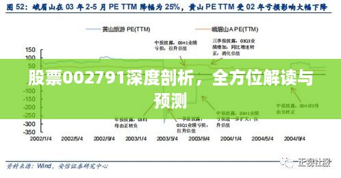 股票002791深度剖析，全方位解讀與預(yù)測